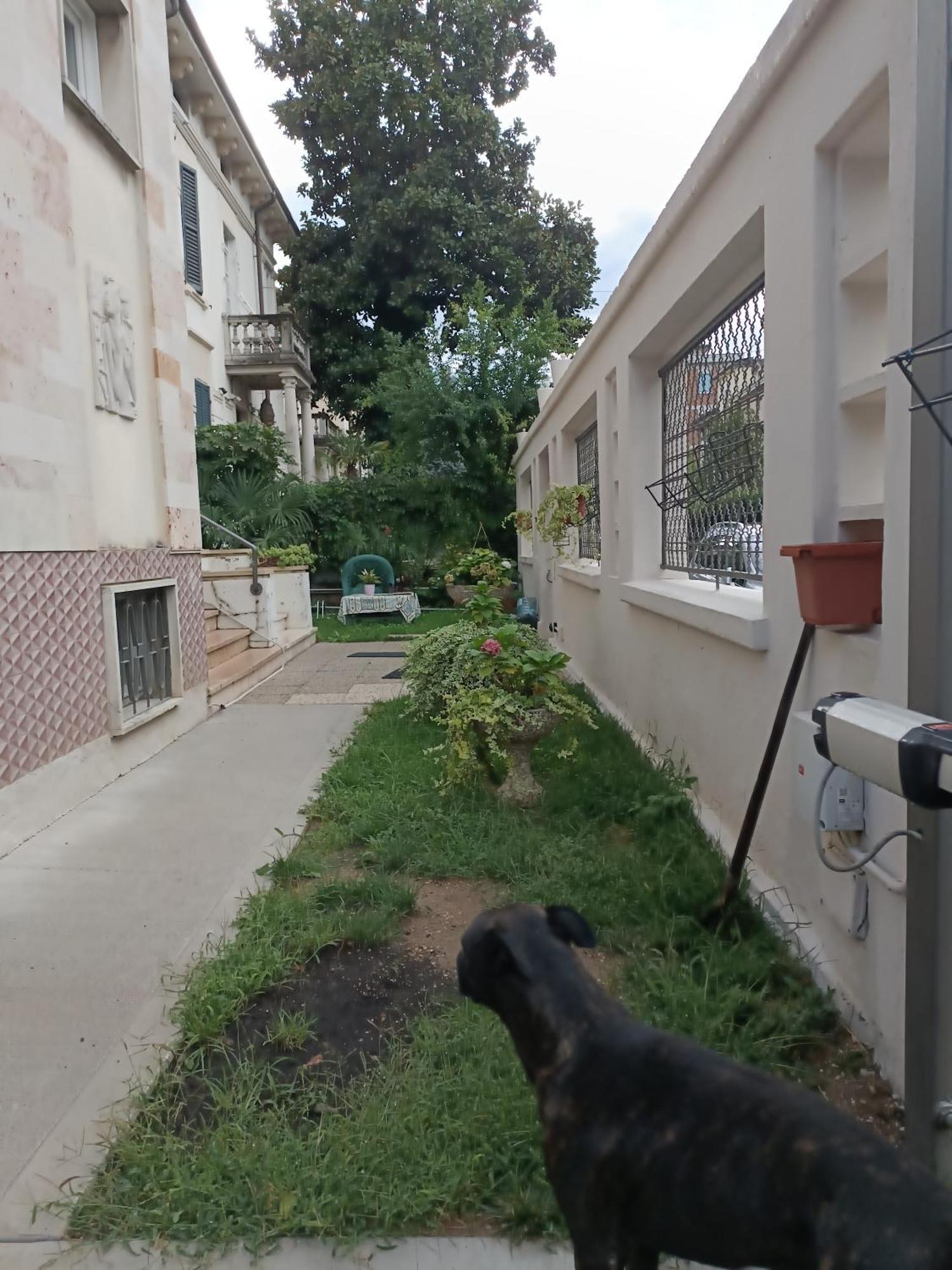 Mavipagi Verona