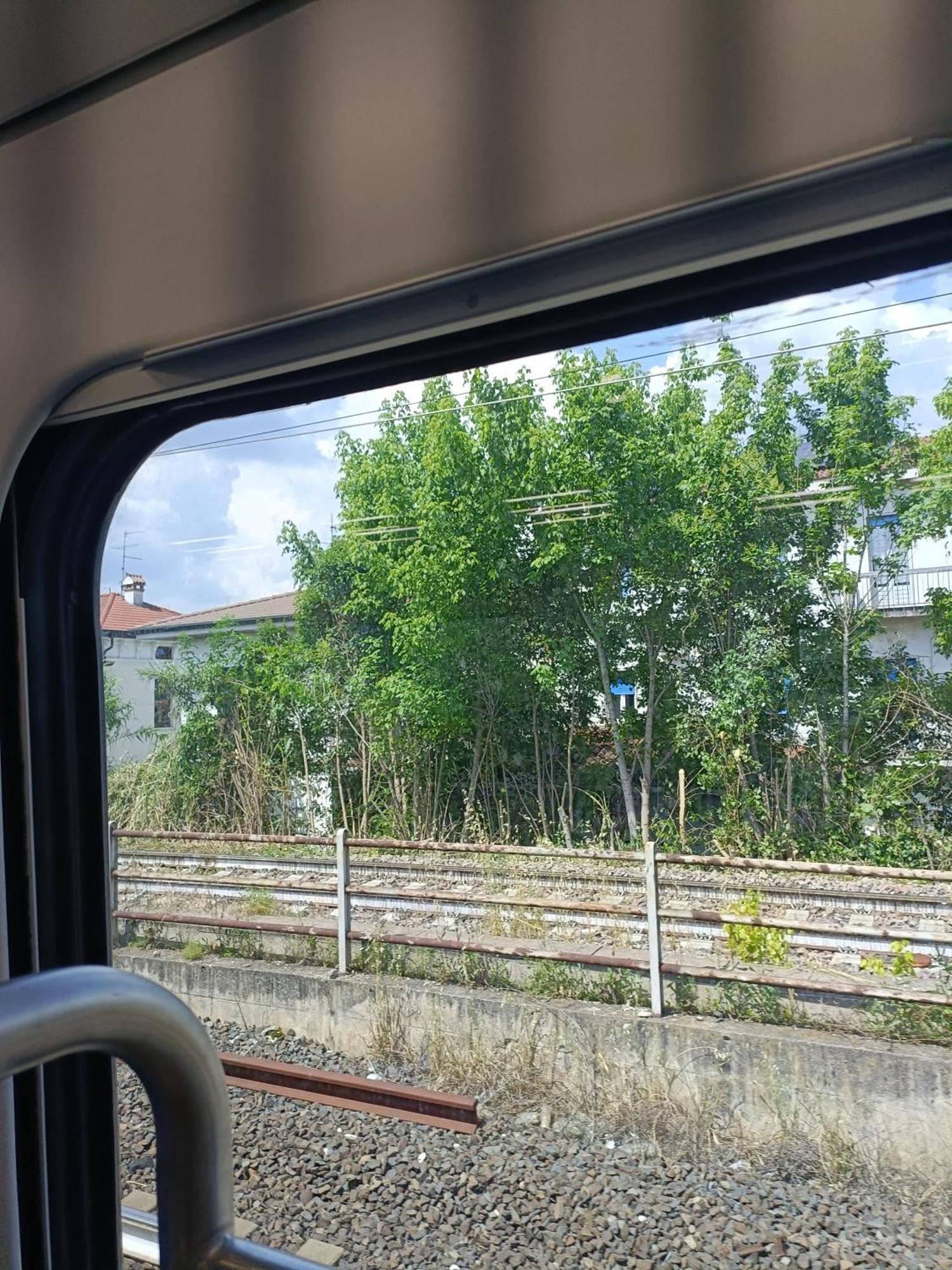 Mavipagi